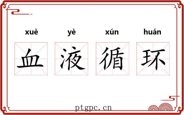 血液循环 血液循环