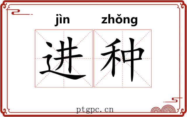 进种 进种