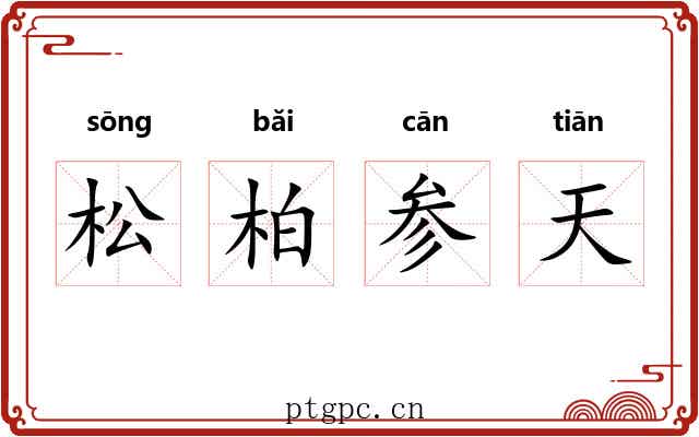 松柏参天 松柏参天
