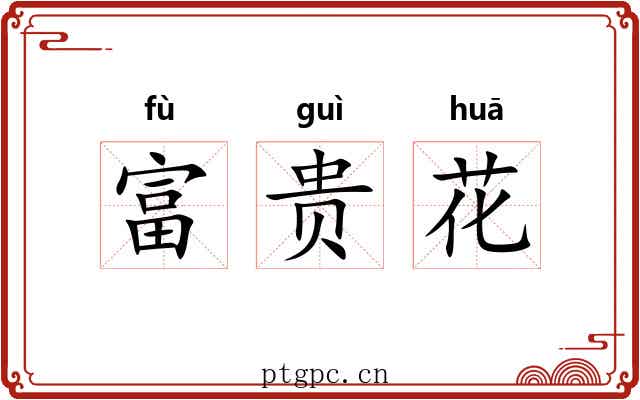 富贵花 富贵花