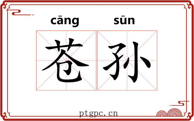 苍孙