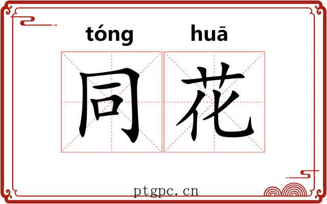同花 同花