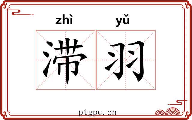 滞羽