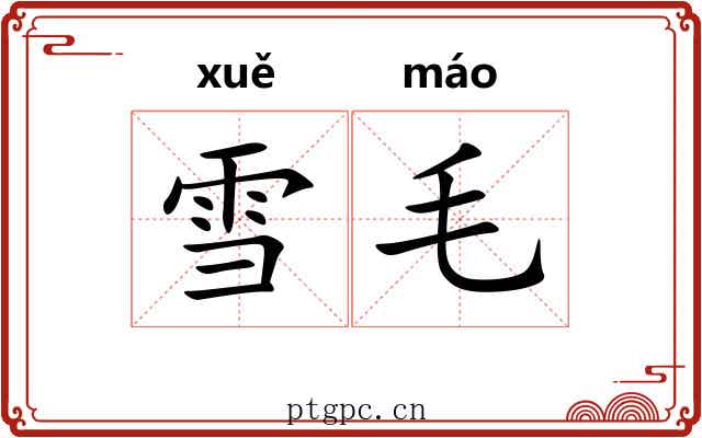 雪毛 雪毛