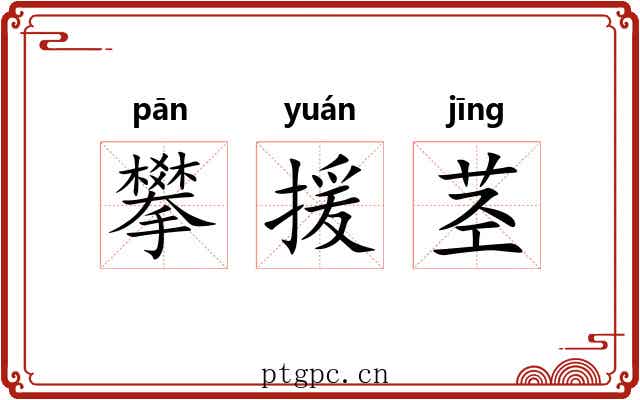 攀援茎 攀援茎