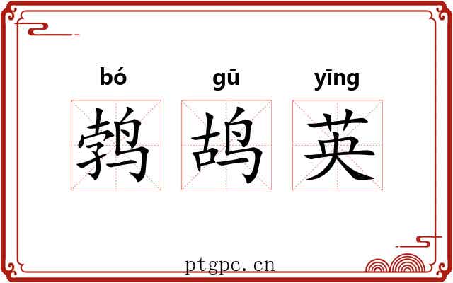 鹁鸪英