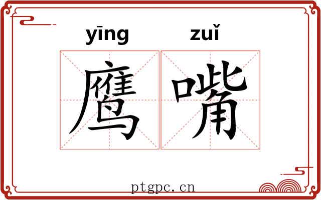 鹰嘴