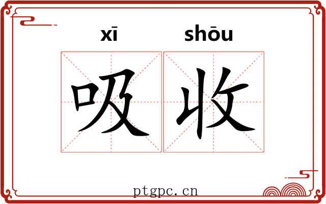 吸收 吸收