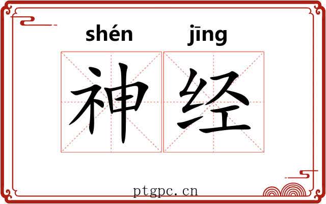 神经 神经