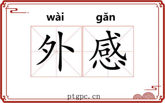 外感 外感