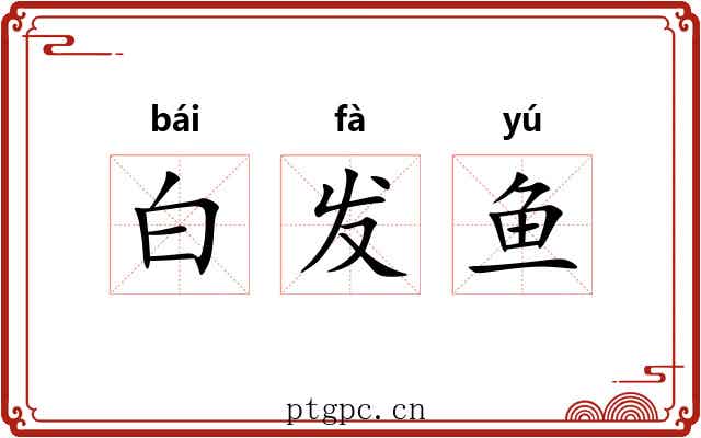 白发鱼 白发鱼