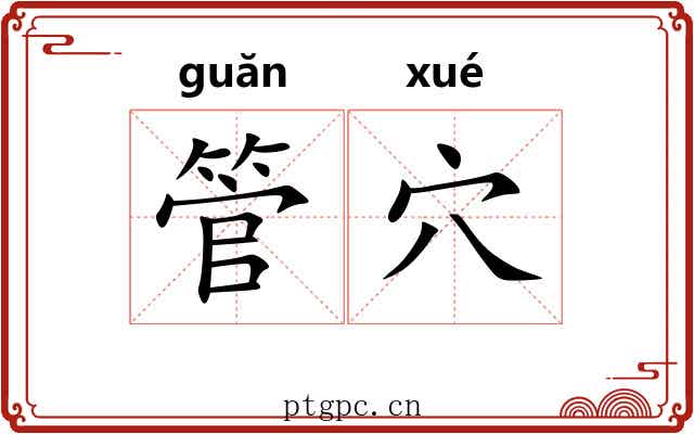 管穴 管穴