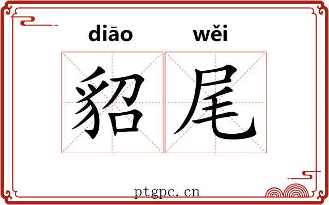 貂尾