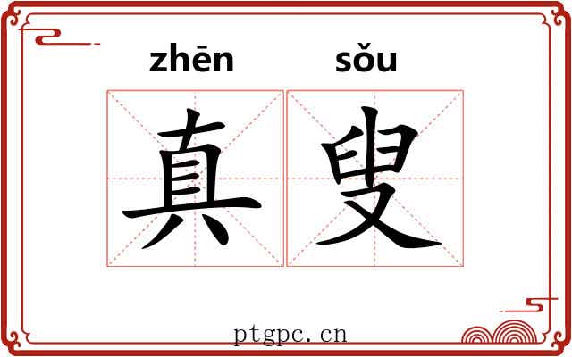 真叟