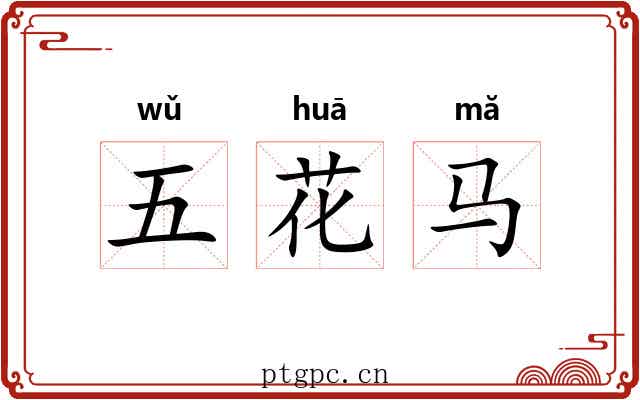 五花马 五花马