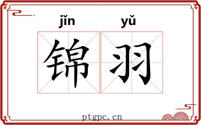 锦羽