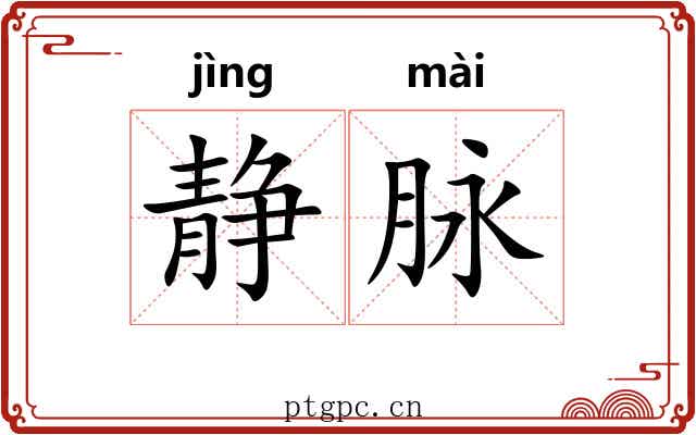 静脉 静脉