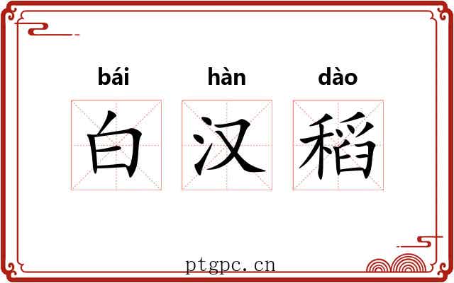 白汉稻 白汉稻