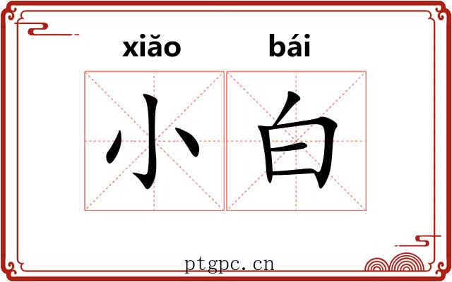 小白 小白