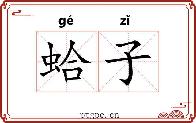 蛤子 蛤子