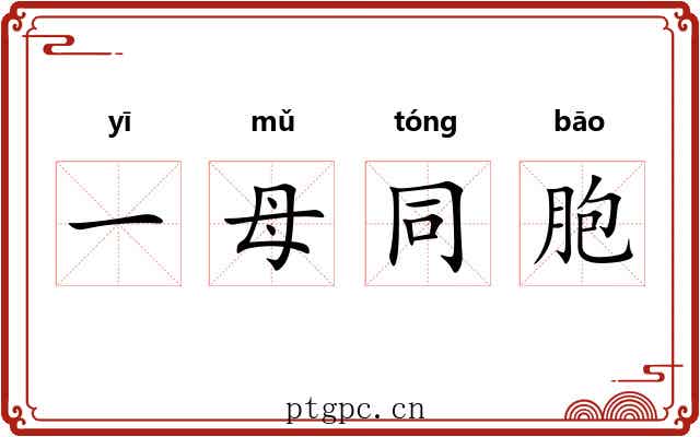 一母同胞 一母同胞