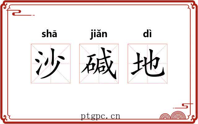沙碱地 沙碱地