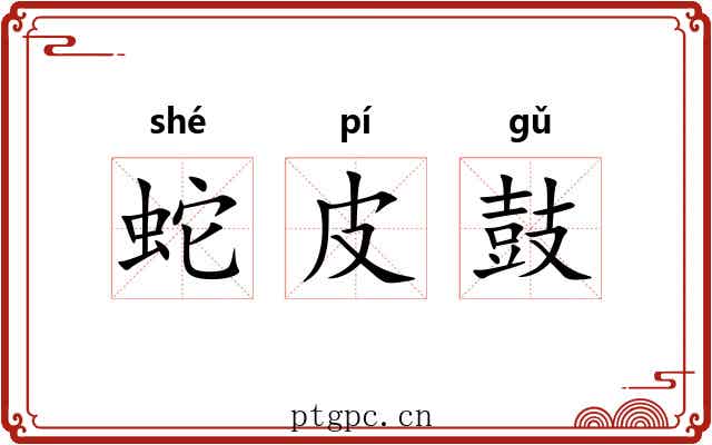 蛇皮鼓