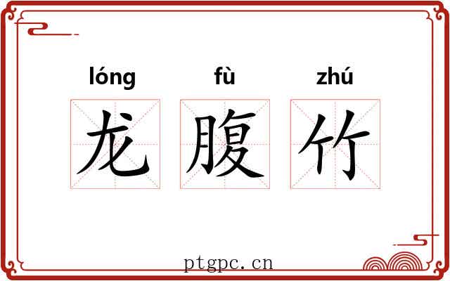 龙腹竹