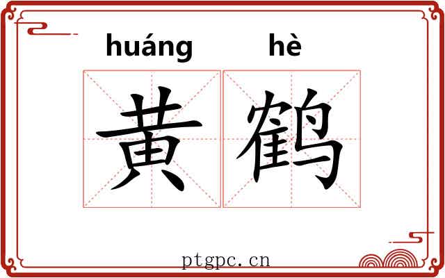 黄鹤 黄鹤