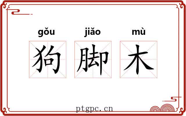 狗脚木 狗脚木