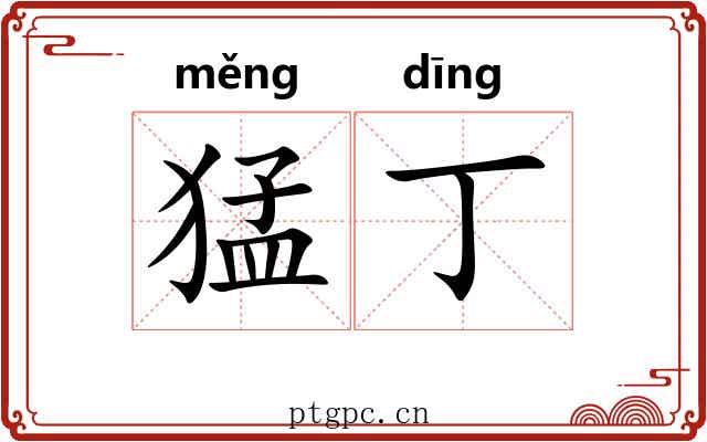 猛丁