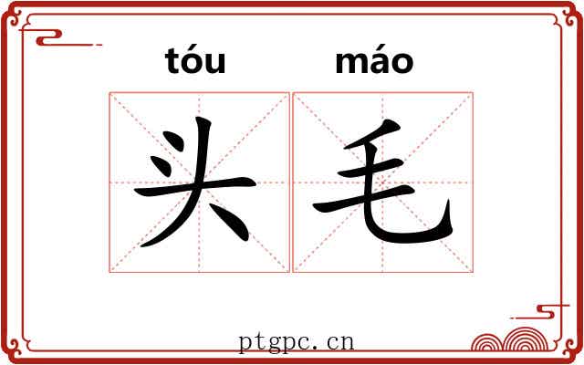 头毛 头毛