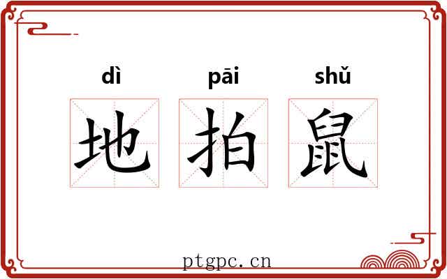 地拍鼠