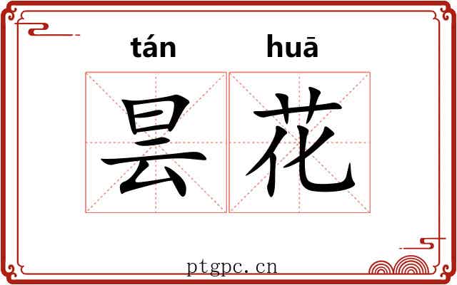 昙花 昙花