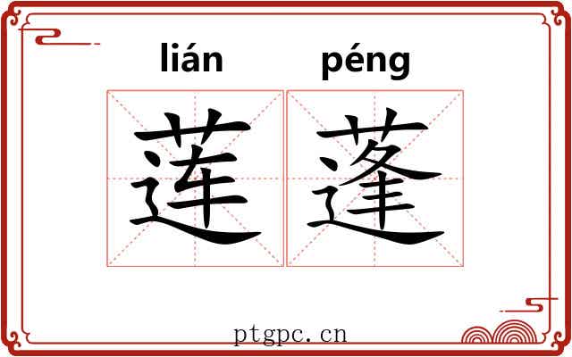 莲蓬 莲蓬