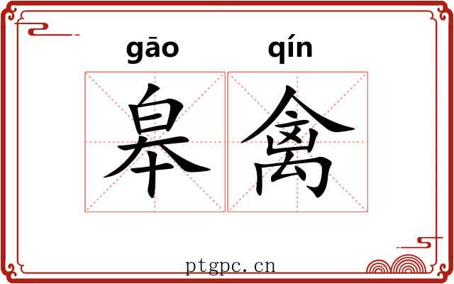 皋禽