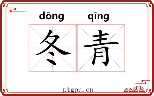 冬青