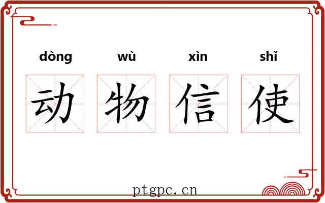 动物信使