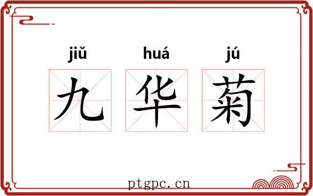 九华菊 九华菊