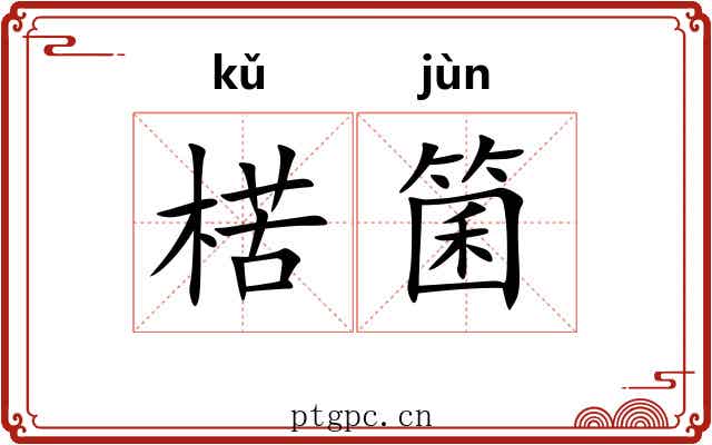 楛箘