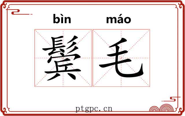 鬓毛