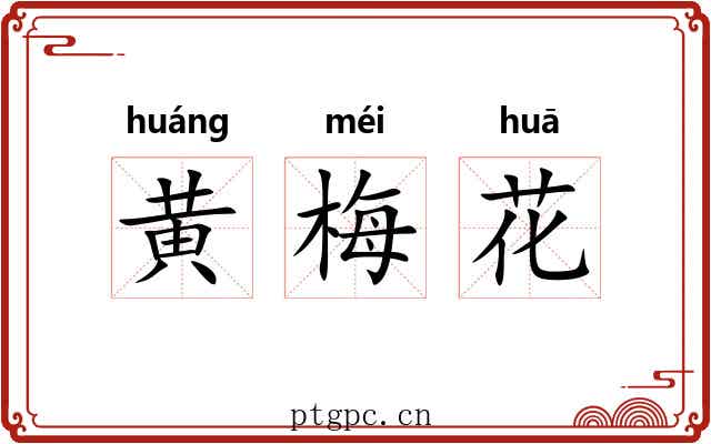 黄梅花