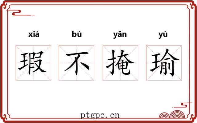 瑕不掩瑜 瑕不掩瑜