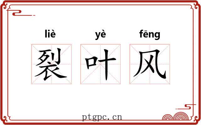 裂叶风 裂叶风
