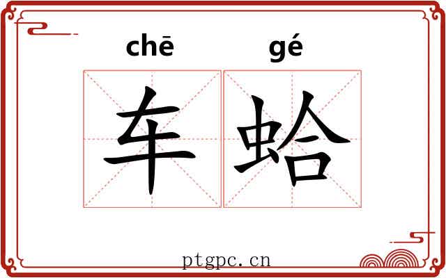 车蛤 车蛤