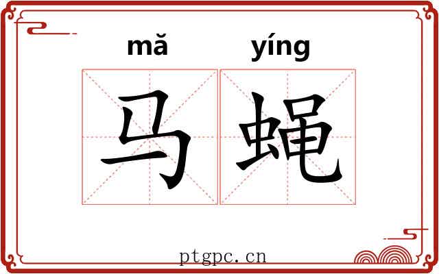 马蝇
