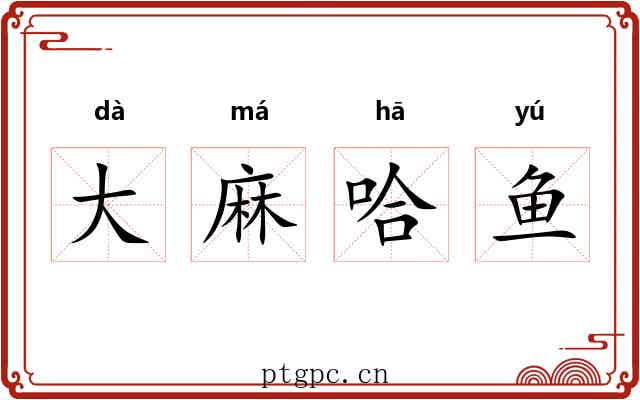 大麻哈鱼 大麻哈鱼