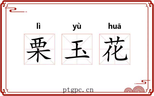 栗玉花 栗玉花