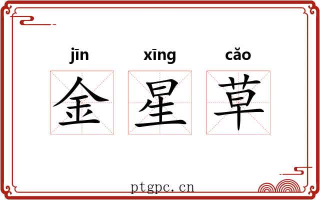 金星草 金星草