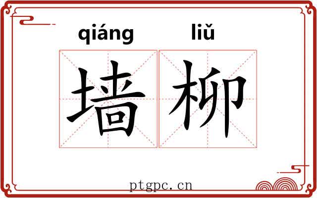 墙柳